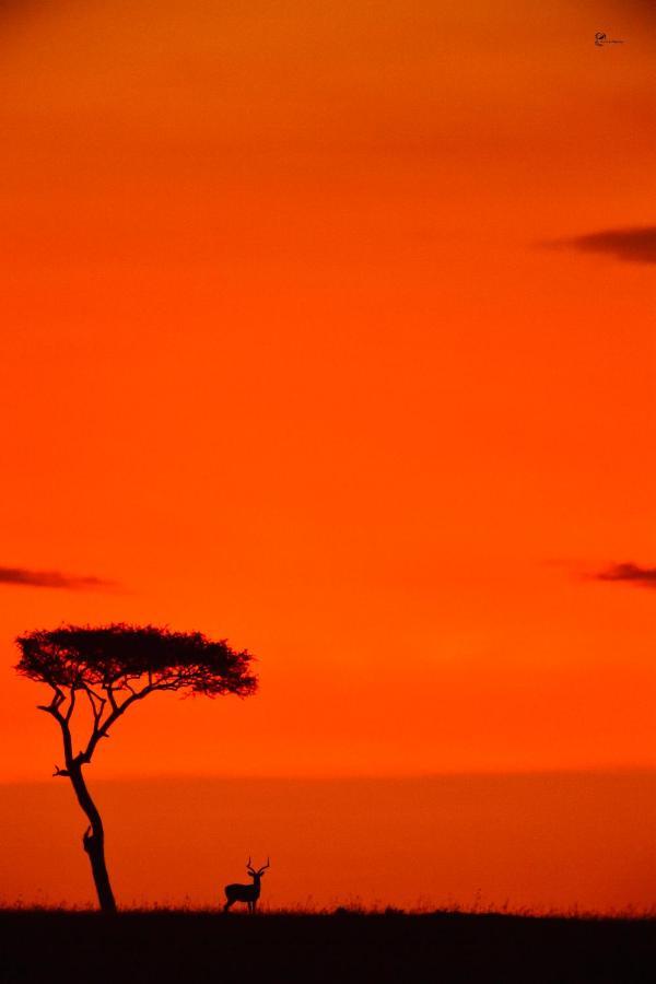 فندق Lorian Safari Camp Limited Narok المظهر الخارجي الصورة