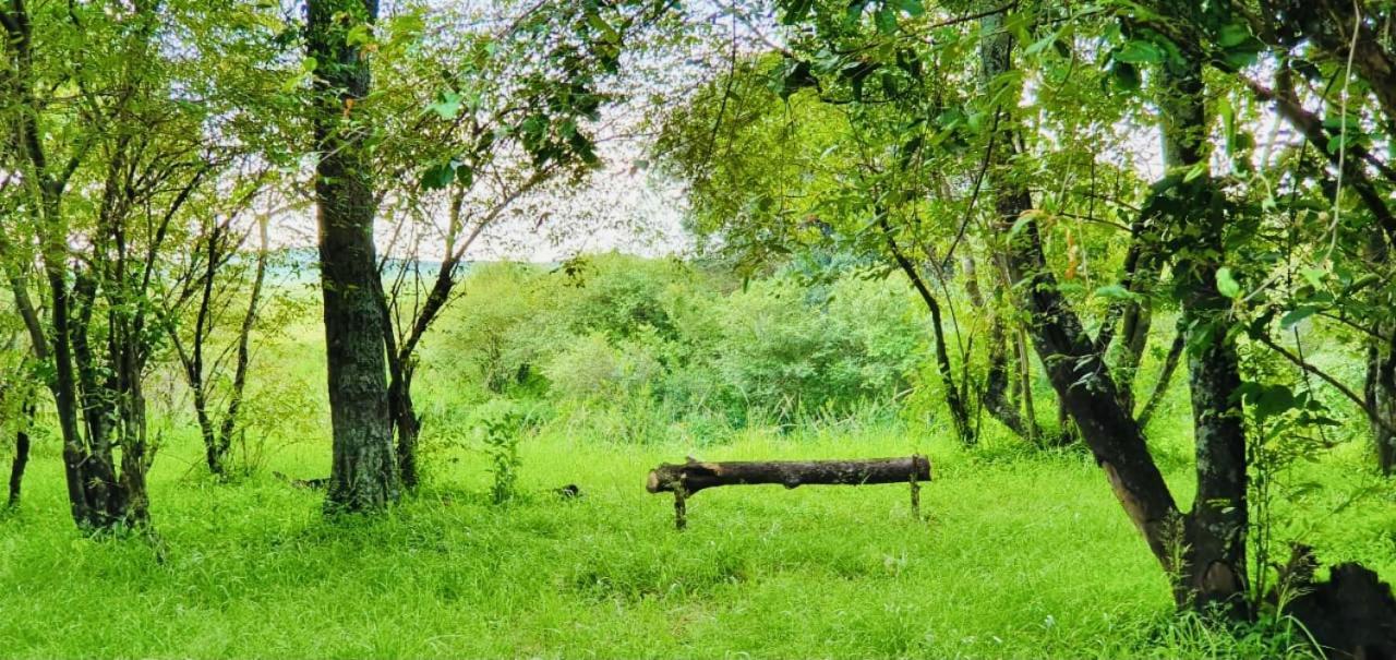 فندق Lorian Safari Camp Limited Narok المظهر الخارجي الصورة